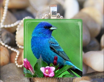 SPRING BLUE BIRD Blue Finch Bluebird Summer Garden Glass Tile Pendant Necklace Keyring