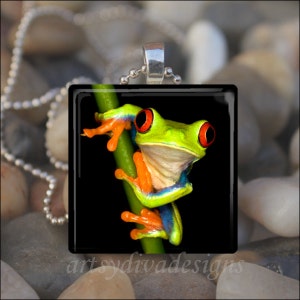 TROPICAL GREEN FROG Rainforest Tree Frog Glass Tile Pendant Necklace Keyring