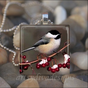 CHICKADEE BIRD Winter Berries Black White Bird Glass Tile Pendant Necklace Keyring