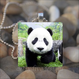 May include: A glass pendant featuring a close-up image of a black and white baby panda bear with a green grassy background.