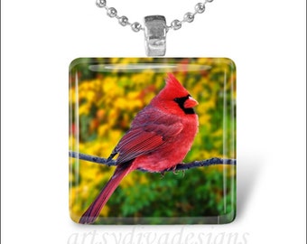 CARDINAL BIRD Red Cardinal Spring Bird Glass Tile Pendant Necklace Keyring design 2