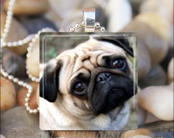PUG DOG CUTIE Pug Love Dog Canine Glass Tile Pendant Necklace Keyring