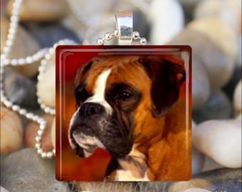 Puede incluir: Primer plano de un perro Boxer marrón y blanco con fondo rojo. El perro mira hacia la izquierda de la imagen. La imagen está en un colgante de vidrio.