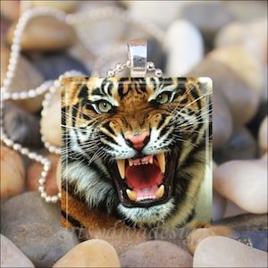 FIERCE TIGER Roaring Big Cat Animal Glass Tile Pendant Necklace Keyring