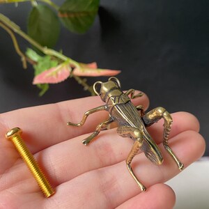 Peut inclure: Une figurine de sauterelle en métal couleur laiton avec des ailes et des pattes texturées détaillées, accompagnée d'un boulon à vis en métal doré séparé, le tout sur un fond sombre avec un feuillage vert.