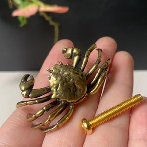 Brass Crab Cabinet Knob, copper Crab Drawer Handle, Coastal Beach House Furniture Pull, Nautical Ocean Animal Hardware for Dresser Cupboard