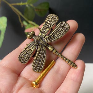 Può includere: Un pomello per mobili in metallo color ottone a forma di libellula, caratterizzato da dettagli intricati sulle ali e un corpo segmentato. La libellula è accompagnata da una vite in metallo color oro con testa piatta per l'installazione.