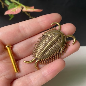 Brass Trilobite Drawer Knob, Vintage Insect Cabinet Handle, Antique Prehistoric Fossil Drawer Pull, Unique Gothic Hardware Gift
