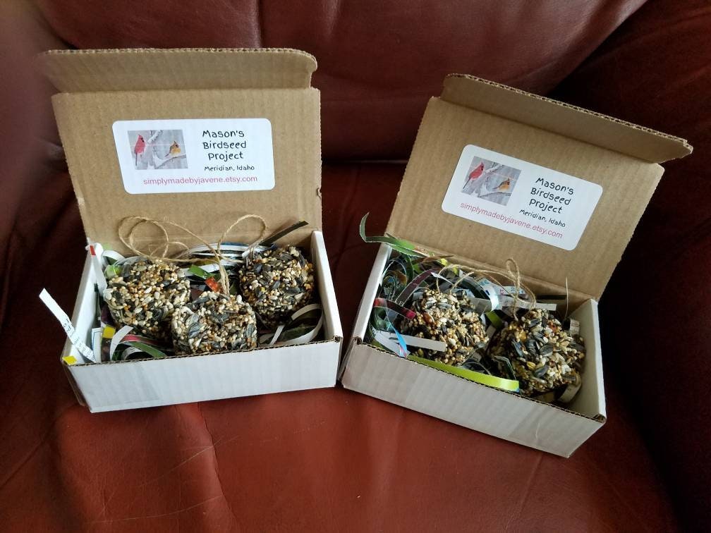 Mason's Birdseed Ornaments, young entrepreneur, handmade, gifts, …