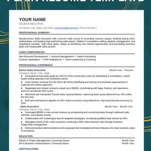 Sales Executive Resume Template | Editable Word Resume | Plain & Professional CV for Sales, Business Development | Digital Download | ATS