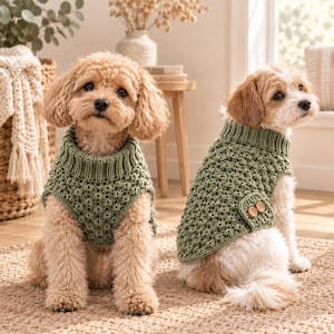 May include: Two dogs wearing matching sage green knitted sweaters. The sweaters feature a textured stitch pattern, a ribbed turtleneck collar, and a small side pocket detail adorned with two light brown wooden buttons on the dog on the right.