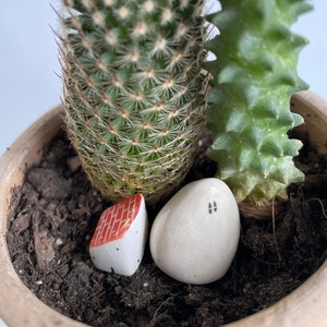 Ceramic Tiny house and rock with eyes duo, Terrarium accessories