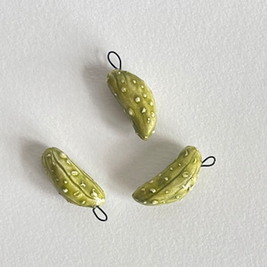 Pickle charm