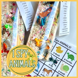 I Spy Jar Animals | Seek and Find Animals | I Spy Bottle | Desk Fidget