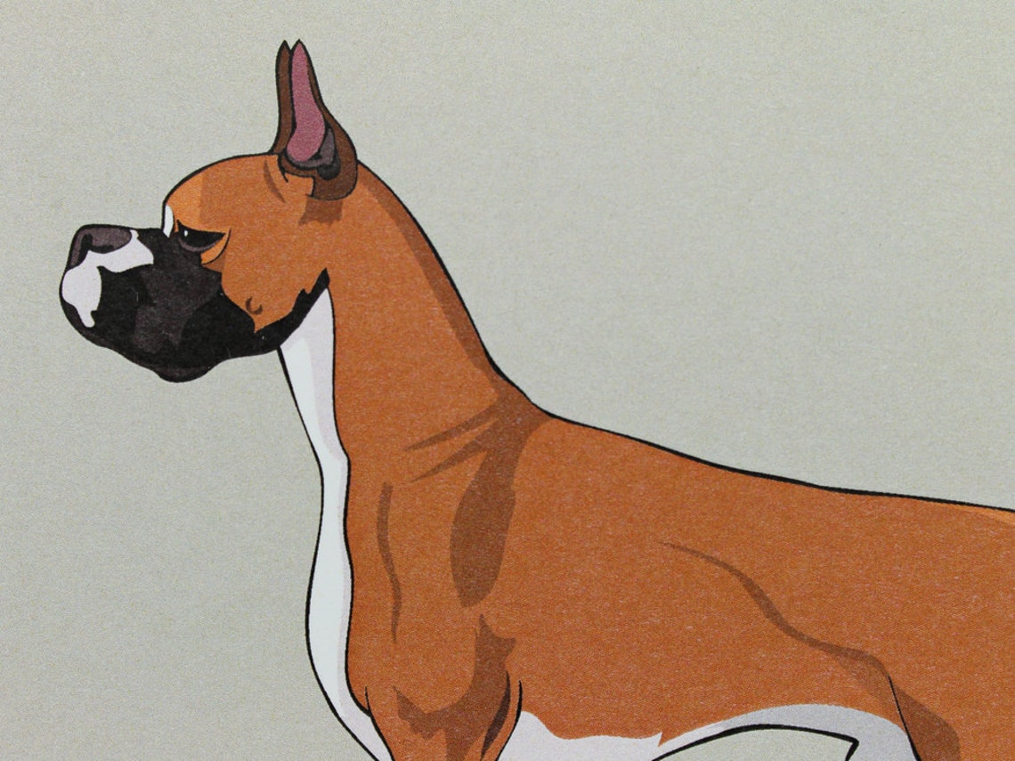 Boxer Dog Note Card Stationery Etsy
