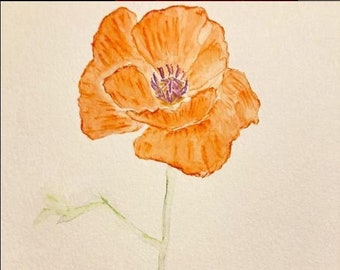 Orange Poppy - Watercolor Painting, Art, Poppy, Orange