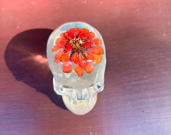 Zinnia dried flower skull paperweight
