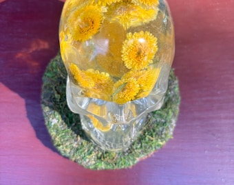 Yellow wildflower resin skull statue