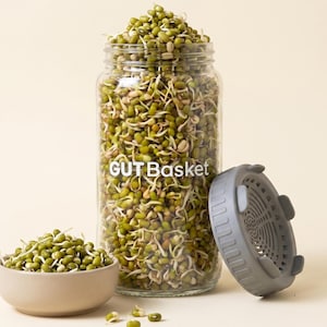 Op de afbeelding: Een doorzichtige glazen kiempot gevuld met groene mungbonenscheuten, voorzien van de witte tekst GUTBasket. De pot heeft een grijs plastic zeefdeksel dat ernaast ligt, en een klein beige kommetje gevuld met scheuten staat op de voorgrond.