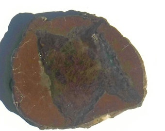 37x33x5.8mm Oregon Graveyard Point Moss Agate bezel 2.2mm