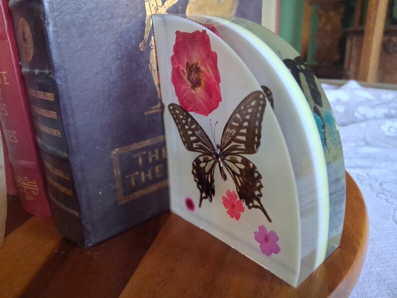 Bookends With Preserved Asian Swallowtail (papilio Xuthus) & Common ...