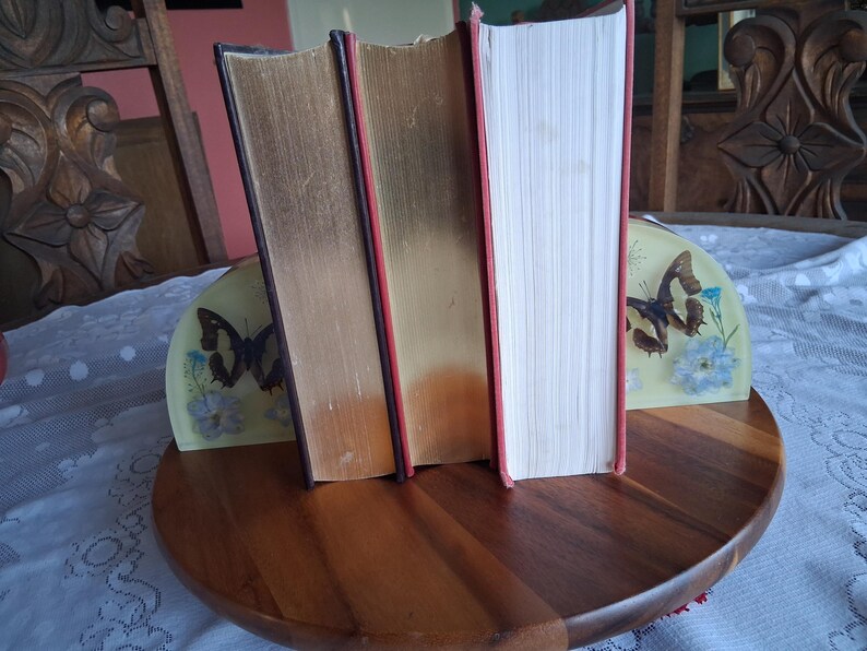 Bookends With Preserved Asian Swallowtail (papilio Xuthus) & Common ...