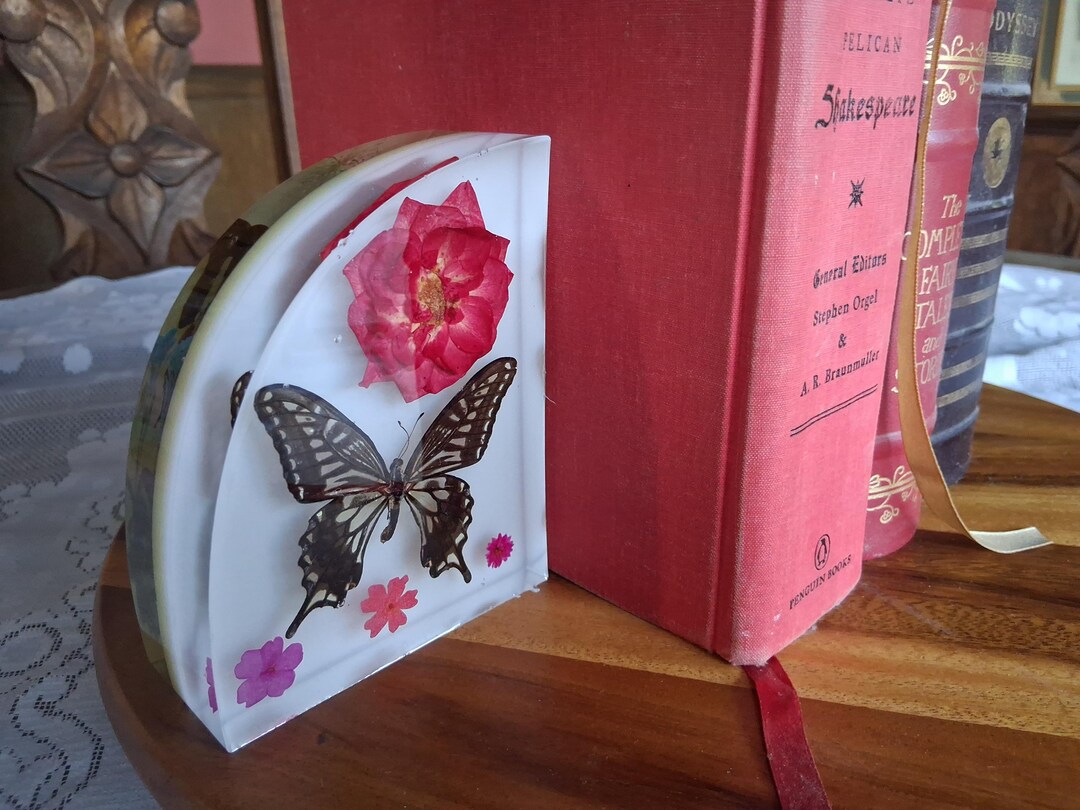 Bookends With Preserved Asian Swallowtail (papilio Xuthus) & Common ...