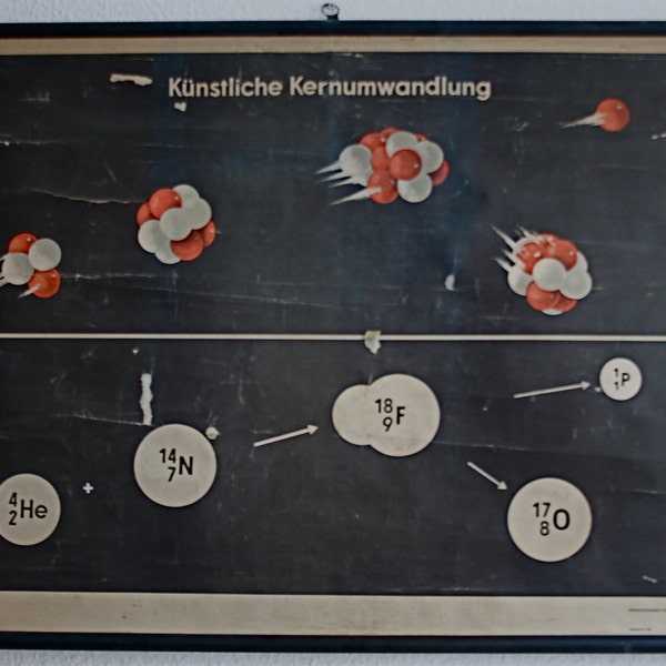 Vintage East German Pull-Down Science Educational Classroom Poster