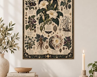 Puede incluir: Una lámina decorativa rectangular titulada The Haunted Herbarium, que presenta ilustraciones botánicas detalladas de varias plantas como mandrágora, belladona y flor de luna, dispuestas con fases lunares y polillas sobre un fondo crema.