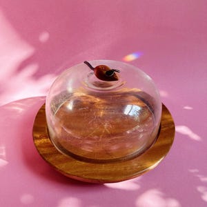 Pode incluir: Uma bandeja de servir redonda de madeira com uma tampa de cúpula de vidro transparente. A tampa apresenta uma pequena figura de rato de madeira esculpida em castanho como pega no topo. O grão da madeira é visível na base circular.
