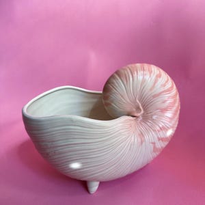 May include: A ceramic bowl shaped like a nautilus shell with a cream-colored interior and exterior. The shell features a spiral design with soft pink accents and fine, raised ridges. The bowl is supported by three small, pointed feet at the base.