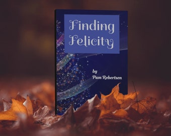 Finding Felicity - A Christmas Story
