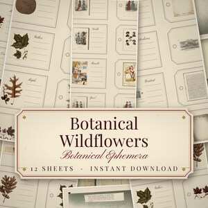 Botanical Wildflower Ephemera Pack, 12 Printable Herbarium Sheets, Pressed Flowe - photo 1
