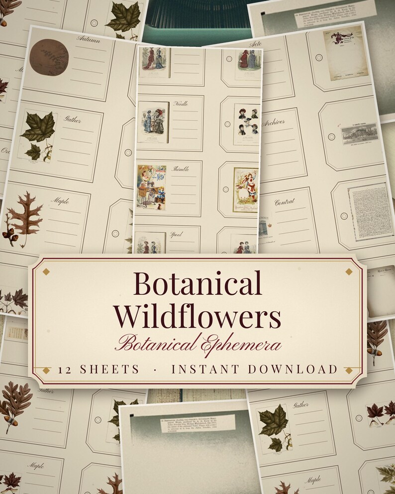 Botanical Wildflower Ephemera Pack, 12 Printable Herbarium Sheets, Pressed Flowe - photo 1
