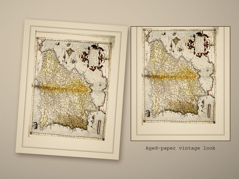 Cottagecore Botanical Ephemera Pack, 12 Dried Flower Herbarium Sheets, Attic Gar - photo 4