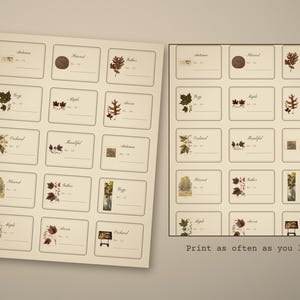 Cottagecore Botanical Ephemera Pack, 12 Dried Flower Herbarium Sheets, Attic Gar - photo 5