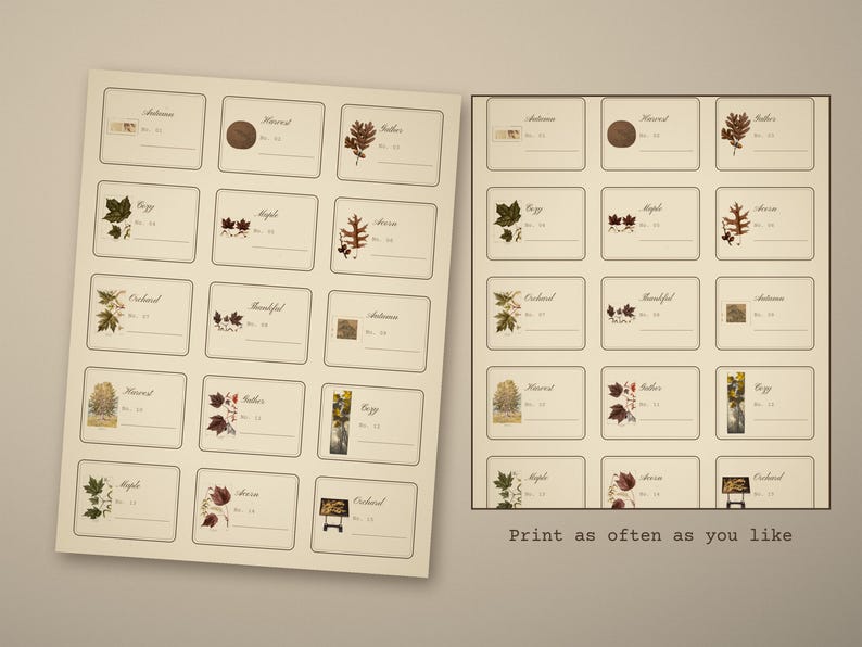 Cottagecore Botanical Ephemera Pack, 12 Dried Flower Herbarium Sheets, Attic Gar - photo 5