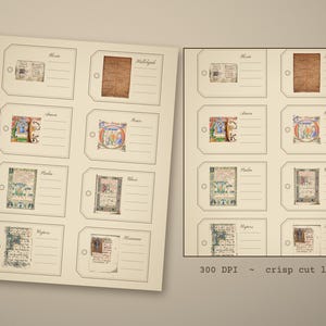 Cottagecore Botanical Ephemera Pack, 12 Dried Flower Herbarium Sheets, Attic Gar - photo 3