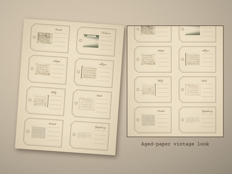 Botanical Wildflower Ephemera Pack, 12 Printable Herbarium Sheets, Pressed Flowe - photo 4