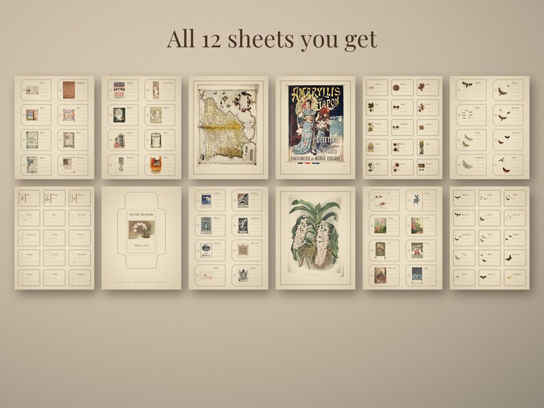 Cottagecore Botanical Ephemera Pack, 12 Dried Flower Herbarium Sheets, Attic Gar - photo 2