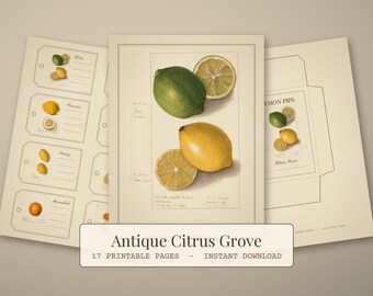 Antique Citrus Junk Journal Kit, Printable Lemon Orange Lime Ephemera, Kitchen Labels, Fruit Art