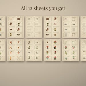 Botanical Wildflower Ephemera Pack, 12 Printable Herbarium Sheets, Pressed Flowe - photo 2