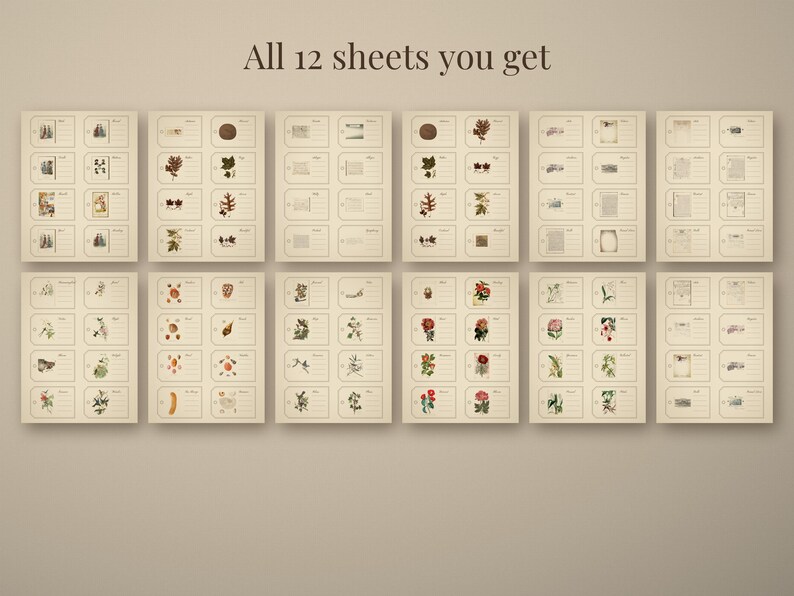 Botanical Wildflower Ephemera Pack, 12 Printable Herbarium Sheets, Pressed Flowe - photo 2