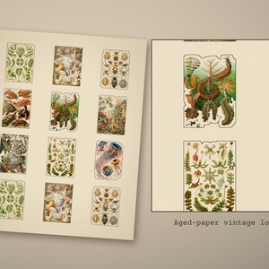 vintage fussy cuts printable - photo 4 of the listing: Vintage Fussy Cuts Printable, 12 Sheets Antique Ephemera Stickers, Junk Journal PDF