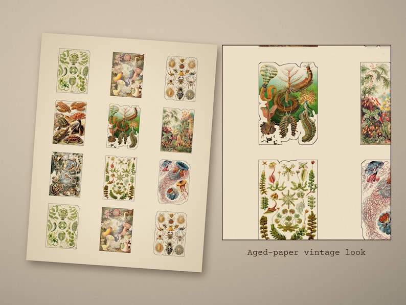 vintage fussy cuts printable - photo 4 of the listing: Vintage Fussy Cuts Printable, 12 Sheets Antique Ephemera Stickers, Junk Journal PDF