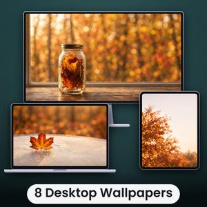 Könnte beinhalten: Eine Sammlung von 8 Desktop-Hintergrundbildern, die auf einem Computermonitor, einem Laptop und einem Tablet angezeigt werden. Die Bildschirme zeigen herbstliche Motive, darunter ein Glas mit orangefarbenen Ahornblättern und ein einzelnes Blatt.