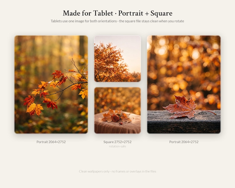 Fall Desktop Wallpaper Aesthetic | Fall MacBook Wallpaper, Laptop ...