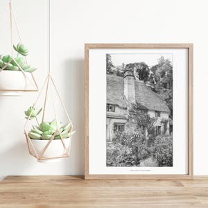 May include: A framed black and white print of a cottage with a thatched roof and a garden, accompanied by two white succulent planters suspended in geometric copper-colored wire frames, all arranged on a wooden surface.