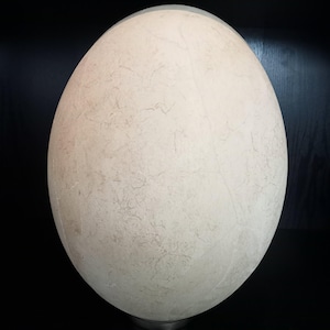 May include: A large, smooth, oval-shaped object with a pale, off-white surface featuring a subtle, intricate network of fine, light brown veining throughout. The object has a uniform, rounded form and a matte texture, resembling a large egg.