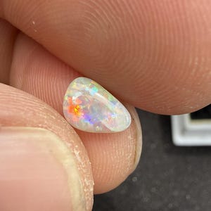 May include: A small, teardrop-shaped opal gemstone featuring a translucent white base with vibrant flashes of red, orange, yellow, green, and blue play-of-color throughout its polished, smooth, and slightly domed surface.